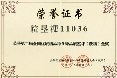 皖墾粳11036榮獲全國第二屆優(yōu)質(zhì)稻品種食味品種金獎(jiǎng)