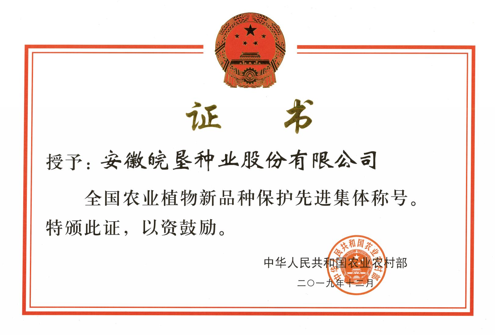 皖墾種業(yè)榮獲全國(guó)農(nóng)業(yè)植物新品種保護(hù)先進(jìn)集體