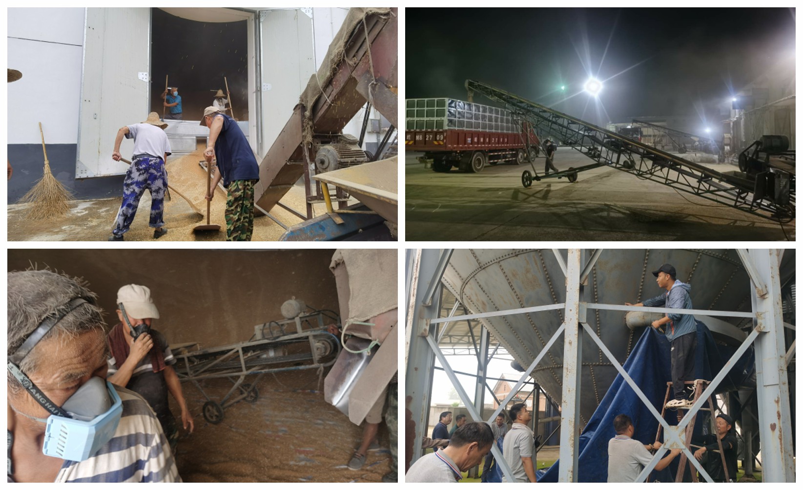 皖墾種業(yè)明光分公司如期完成圩區(qū)種子搶運任務