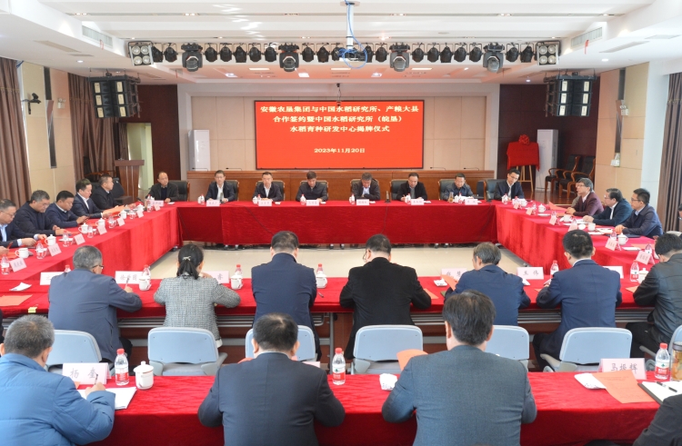 安徽省農(nóng)墾集團(tuán)與中國(guó)水稻研究所、產(chǎn)糧大縣合作簽約暨中國(guó)水稻研究所（皖墾）水稻育種研發(fā)中心揭牌儀式成功舉行